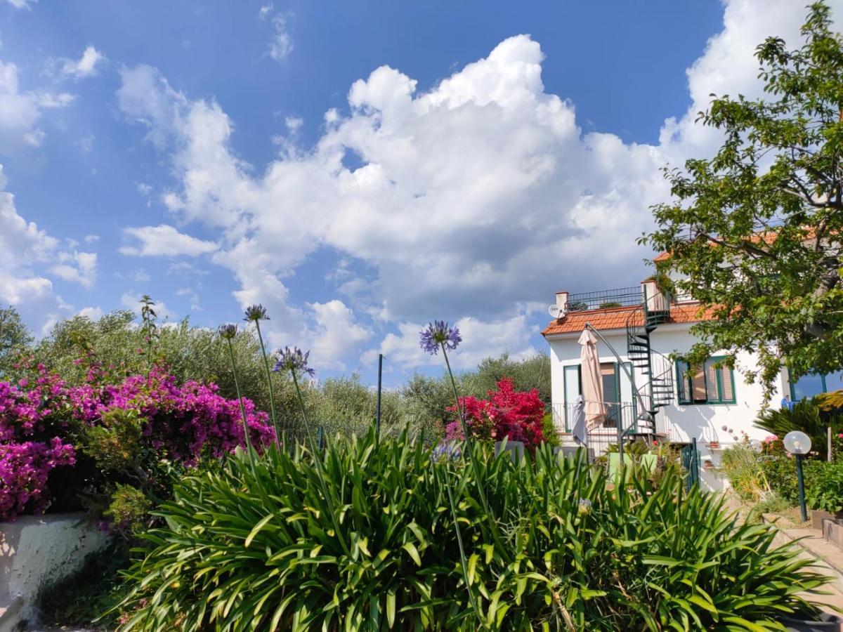 הוילה ויקו אקוונסה Casa Elianta מראה חיצוני תמונה